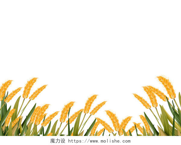 九月你好黄色绿色插画卡通秋天秋季小麦稻谷水稻麦田png素材